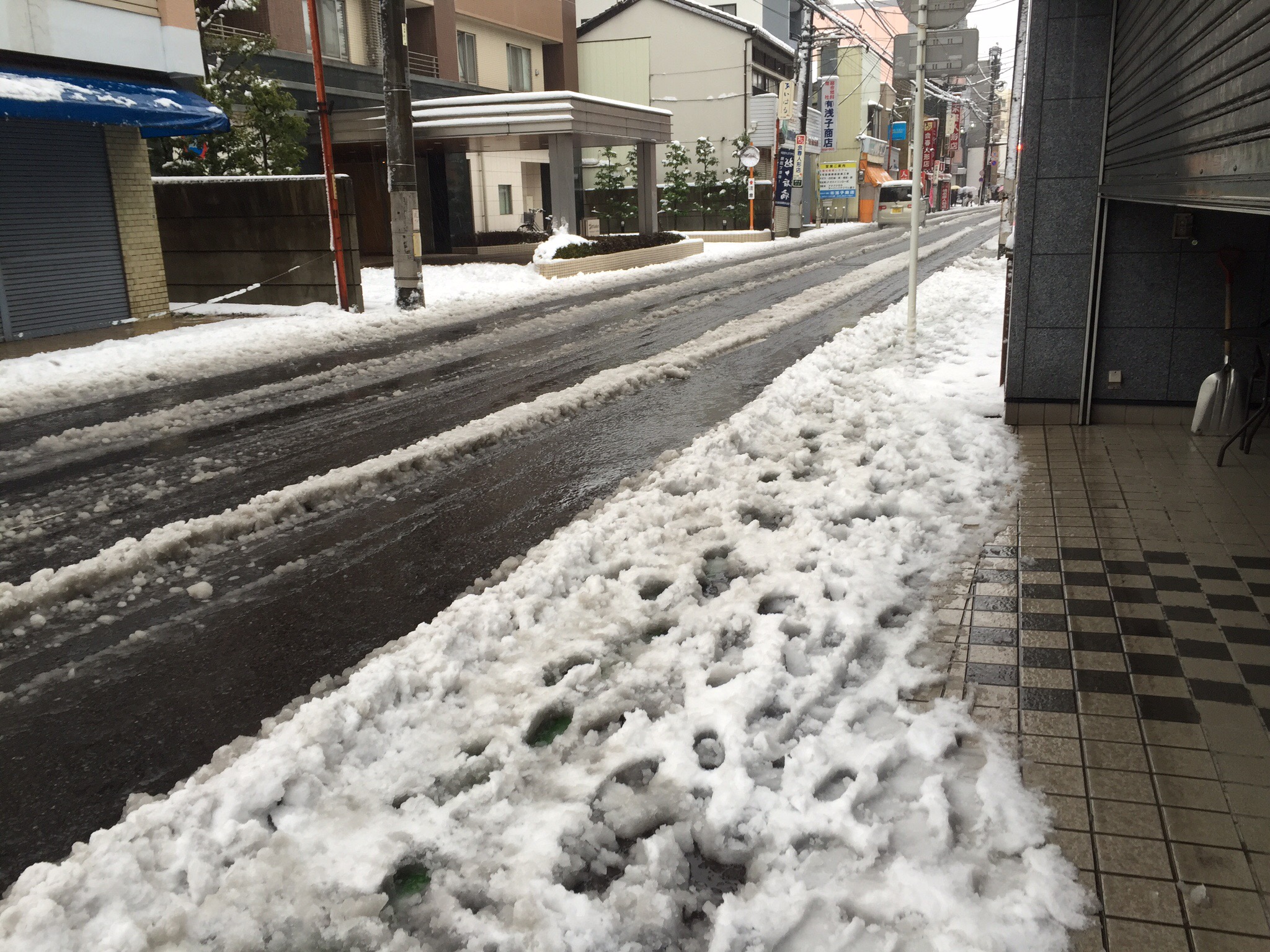 今年初の大雪でした