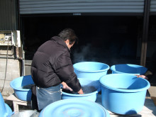 結城紬の湯通し