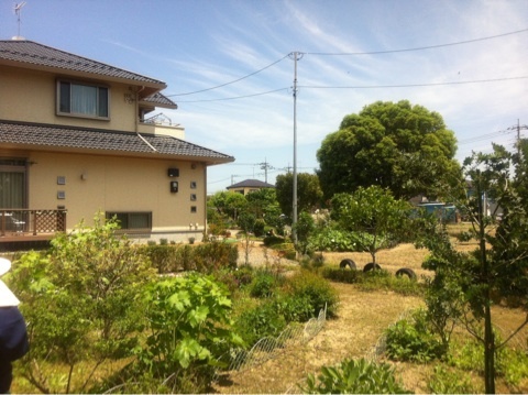 photo:05